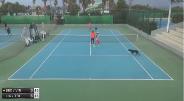 Tennis, cani invadono il campo: interrotto il match del doppio azzurro Becuzzi-Virgili, le immagini