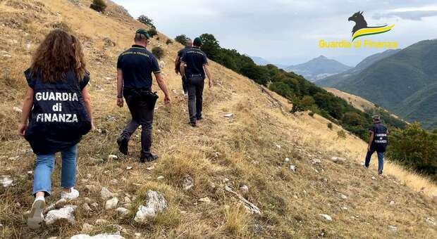 Finti pastori per intascare i soldi dell'Unione Europea: perquisizioni e arresti anche in Puglia