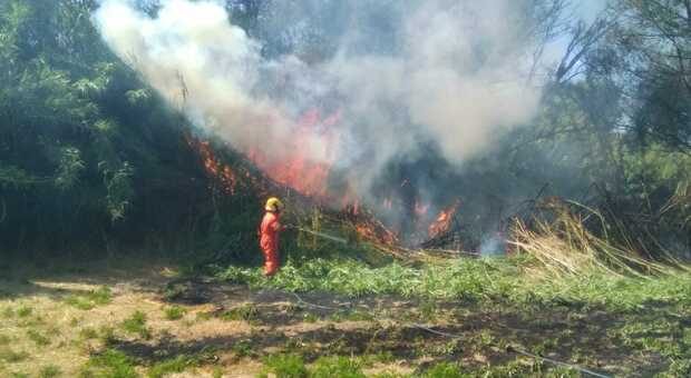 Non c'è tregua sulle colline di Tuscania, un'altra giornata di fuoco per pompieri e volontari