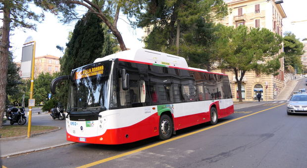 Conerobus, questa mattina esordio per i primi sette nuovi autobus urbani