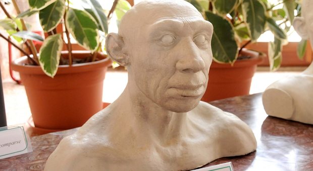 Riproduzione in gesso del busto dell'uomo di Neanderthal