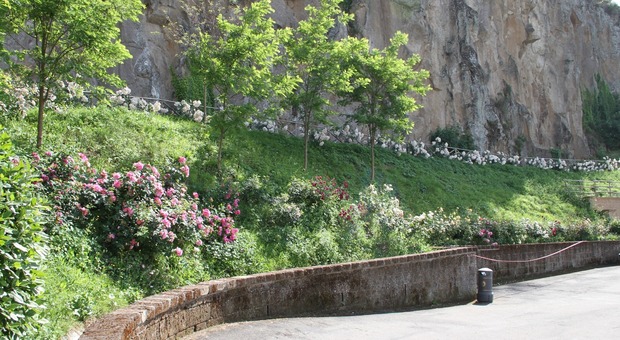 Il Borgo di Rocca Ripesena