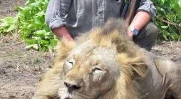 Veterinario torinese uccide un leone e posta la foto sul web