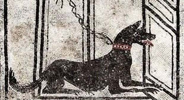 mosaico ritrovato nella domus di «Orfeo»