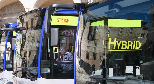 Sugli autobus di tutta l'Umbria la campagna contro i furbetti del biglietto