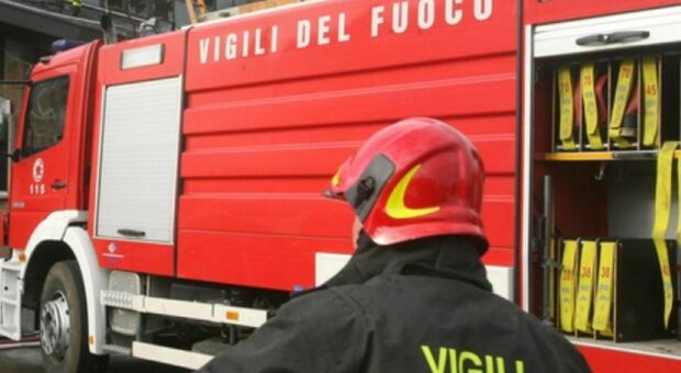 Incendio in una cascina, morti 180 vitelli: strage nel milanese, i vigili del fuoco ne salvano una ventina
