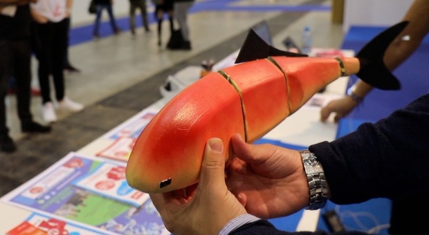 Maker Faire 2018, arriva Loryfish: il pesce robot a caccia di inquinanti