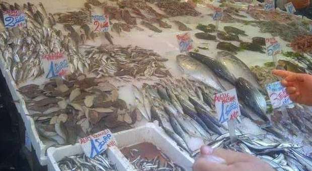Mail | «Via Soprammuro, gente senza scrupoli vende pesce avariato a prezzi stracciati»