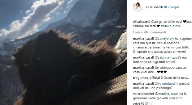 Elisa Isoardi, morto il gatto Otello. Il commovente messaggio su Instagram