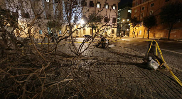 Roma, albero cade in piazza Mastai
