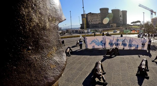 Ambiente, Costa lavora alla «Carta di Napoli», ma gli attivisti Wwf protestano in piazza