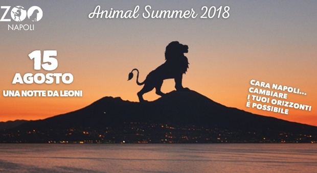 Una notte da leoni: Ferragosto by night allo zoo di Napoli
