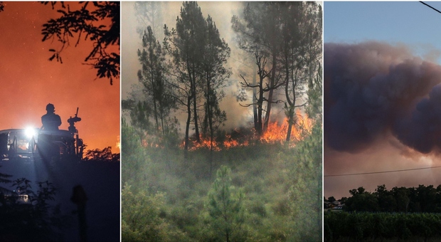 L'Europa in fiamme: 47 gradi in Portogallo Gran Bretagna dichiara l'emergenza nazionale