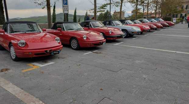 Un raduno di Alfa Romeo Duetto