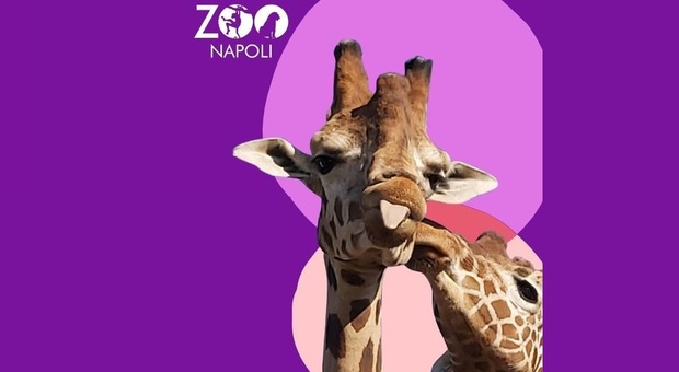 L’8 e il 9 gennaio 2022 “Zoo Experience” allo Zoo di Napoli, tra laboratori ecologici e feeding time