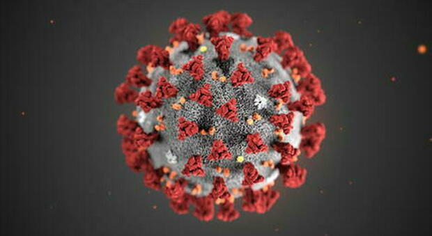 Covid, scoperta nuova variante del virus in Gran Bretagna: «Potrebbe essere più contagioso»