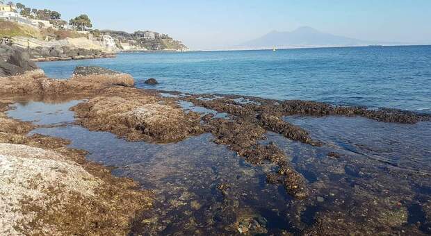 Bassa marea straordinaria nel Golfo di Napoli. Il parere dell'esperto