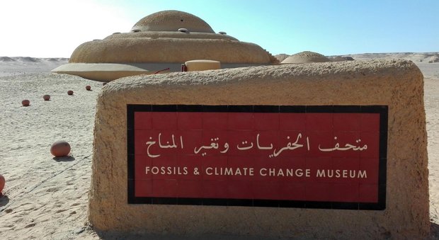 Egitto, nel deserto in cui sono nate le balene apre il museo dei fossili e dei mutamenti climatici