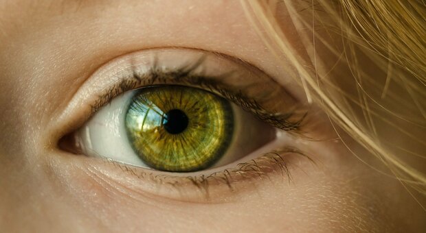 Colore degli occhi, nuova scoperta: sono 50 i geni a determinarlo e non due