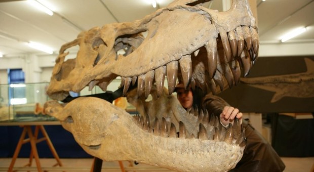 Jurassic Park era a L'Aquila, scoperte orme di dinosauro gigante