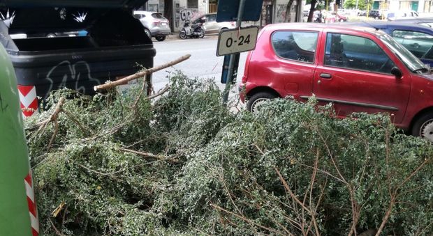 Roma, un altro ramo si stacca e crolla vicino ad una scuola: è il sesto caso in pochi giorni