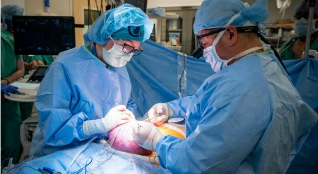 Gravidanza in utero fuori dall'addome, l'intervento a Torino: caso «ad alto rischio», parto riuscito