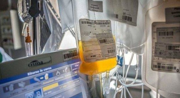 Via alla sperimentazione: trasfusione di plasma a un paziente con il Covid