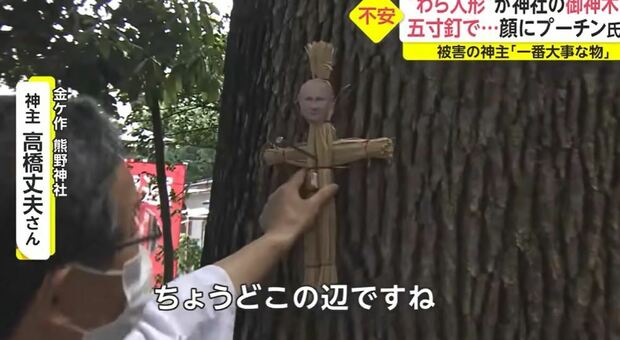 Bambole woodoo con la foto di Putin inchiodate sugli alberi dei santuari in Giappone. Il messaggio: «Deve morire»