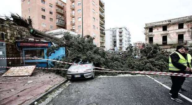 Raffiche di vento, paura in città. Tettoie e impalcature si abbattono sulle auto: tragedia sfiorata | Foto