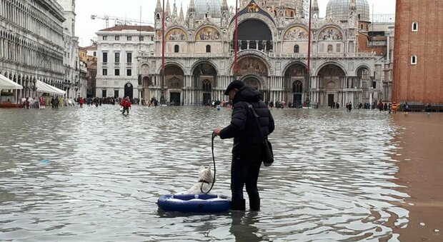 Venezia, marea di "soli" 98 cm: il Mose non si alza e Piazza San Marco finisce sott'acqua