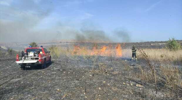 Incendio in Puglia: a fuoco il bosco: pompieri al lavoro ma il vento complica le operazioni di spegnimento