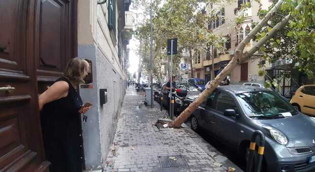 Bomba d'acqua a Napoli, alberi crollano sulle auto in sosta al Vomero