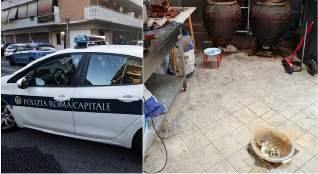 Choc a Roma: escrementi in cucina e alimenti senza etichette, chiuso un ristorante