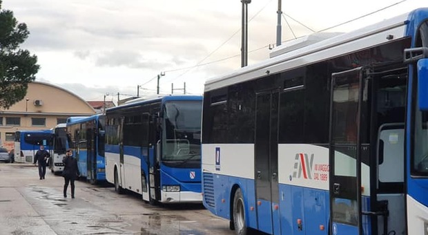 Trasporti, l'Eav istituisce un servizio aggiuntivo con i bus per gli studenti