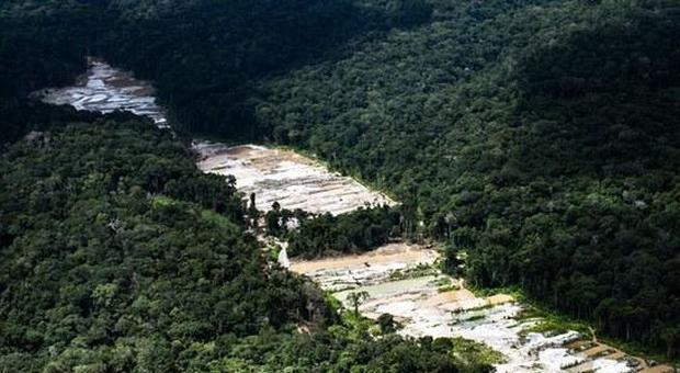 Papa Francesco e la campagna per salvare l'Amazzonia dal business delle multinazionali
