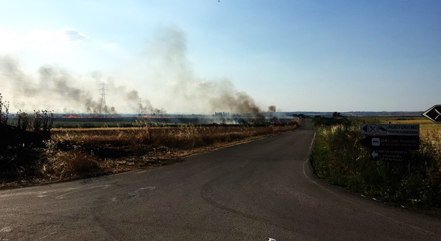 Dieci ettari di grano in fiamme a Tarquinia