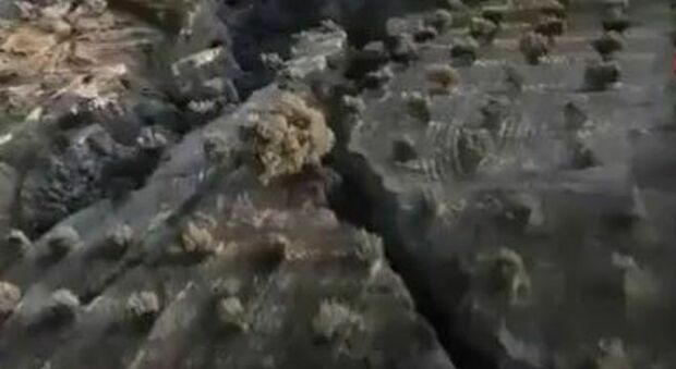 Terremoto Turchia, il drone registra le immagini della spaccatura terrestre: la faglia lunga 300km
