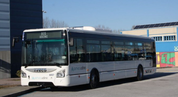 Bus (foto di archivio)