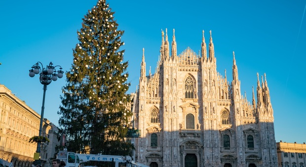 In piazza Duomo l'albero griffato Sky: alto 30 metri, con 100.000 luci led e 700 palline natalizie, si accende il 6 dicembre