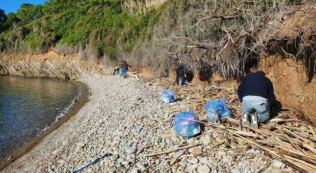 Cilento, volontari in azione per ripulire le calette di Punta Licosa