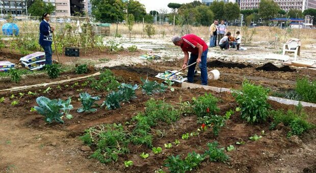 Napoli: «Il giardino della Ferrovia», a Pianura uno spazio per realizzare orti urbani