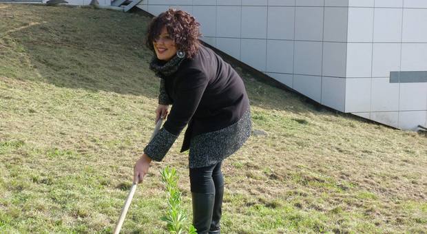 Torna “Alberi per il Futuro” a Giffoni: «Così salvaguardiamo l'ambiente»