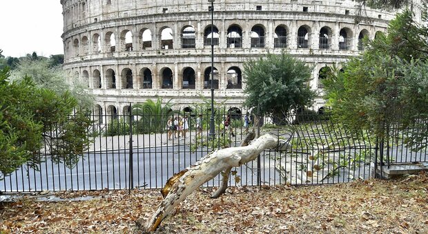 Maltempo a Roma, bomba d'acqua abbatte gli alberi. Crolla tetto di un'azienda agricola, salvate tre famiglie