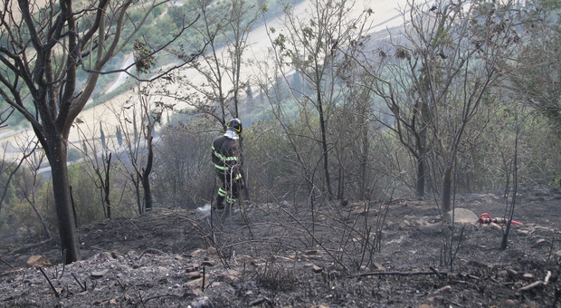 Ancora incendi nel Fermano, resta l'allerta in campagna: sotto esame la causa degli ultimi roghi
