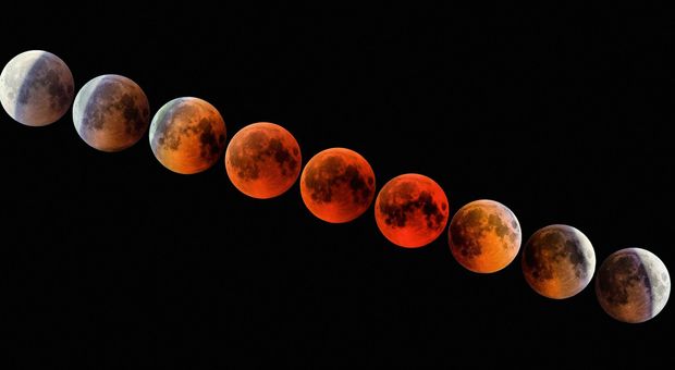 Nell'immagine una eclissi di Luna ripresa dall'astrofilo brindisino Giuseppe Donatiello