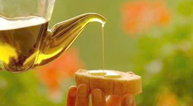 La Puglia al primo posto per produzione di olio biologico