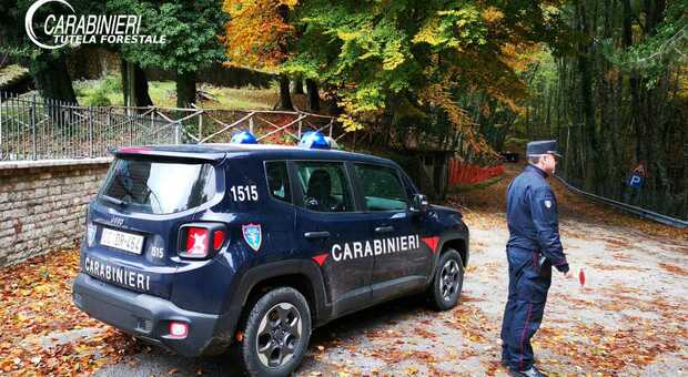 Spargevano liquami dell'azienda nei campi Due allevatori denunciati dai carabinieri