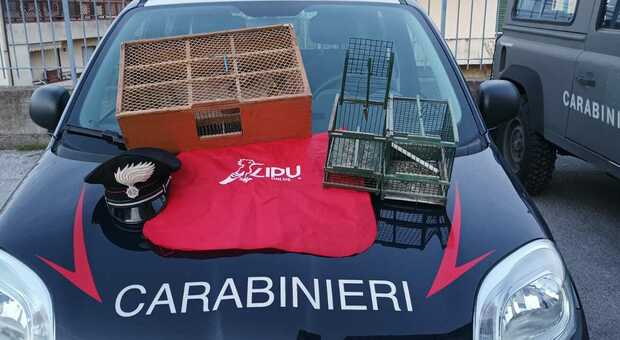 Trappole e uccelli protetti nel parco del Vesuvio: scatta denuncia