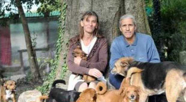 Carmelo e Maria Loretta, sfrattati con i loro 30 cani e 20 gatti