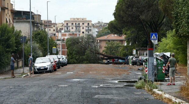 Maltempo a Roma, crolla tetto azienda agricola sulla Prenestina: salvate tre famiglie